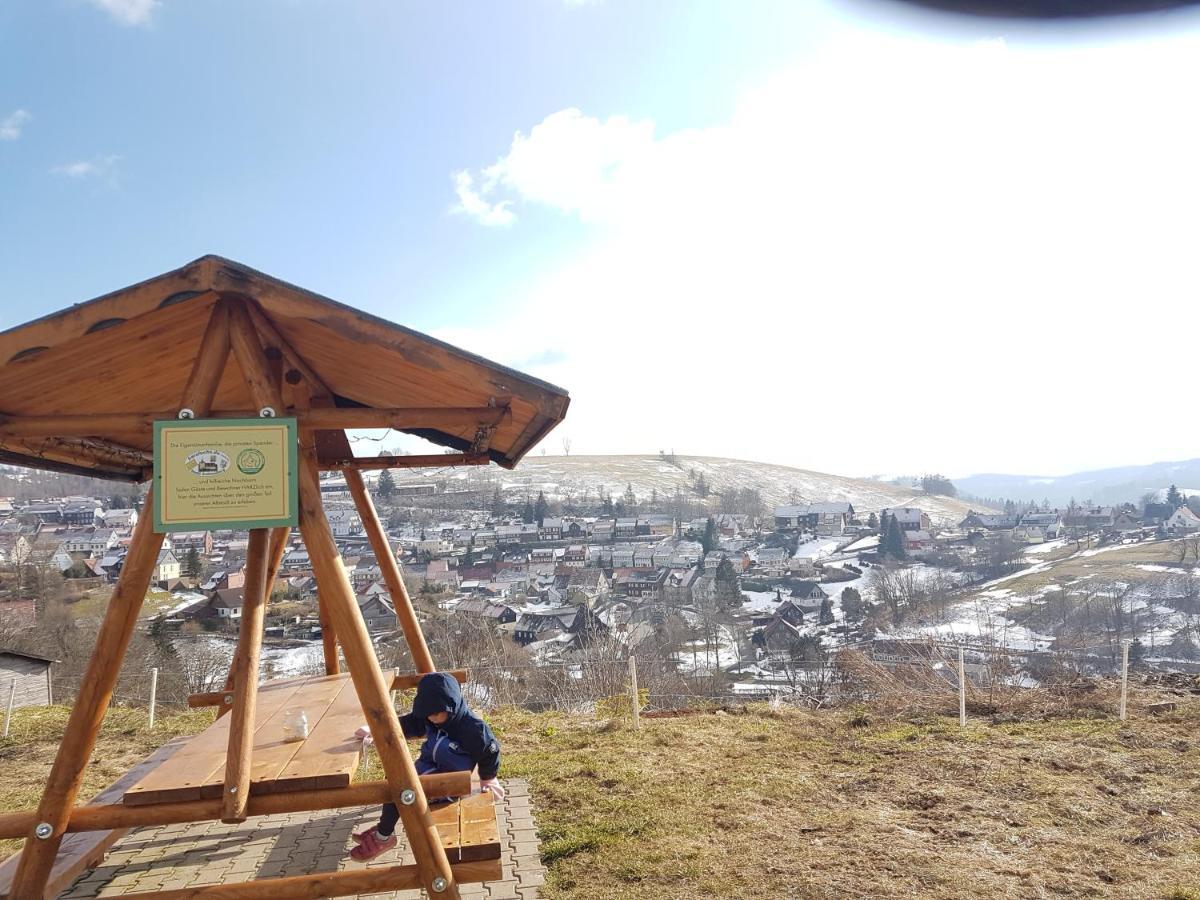 Unik Villa Sankt-Andreasberg Extérieur photo